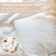 thumbnail image 4 of SHILIU-Throw Pillows Insert Set of 2,Bed and Couch Decorative Stuffer Pillows,Decorative Indoor Pillows for Sofa,100% Cotton Cover Pillow Stuffing (22x22 in), 4 of 4