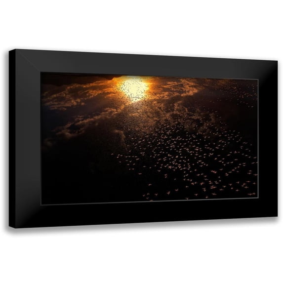Chang, Phillip 14x10 Black Modern Framed Museum Art Print Titled - Late flying