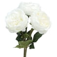 thumbnail image 5 of My Texas House Faux Peony Bundle, White, 19", 5 of 5