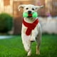 thumbnail image 5 of PET PEQUE?A Bufanda Christmas Puppy Dog Cat Grooming Cuello Cuello Red M Sunnimix bufanda de gatos, 5 of 8