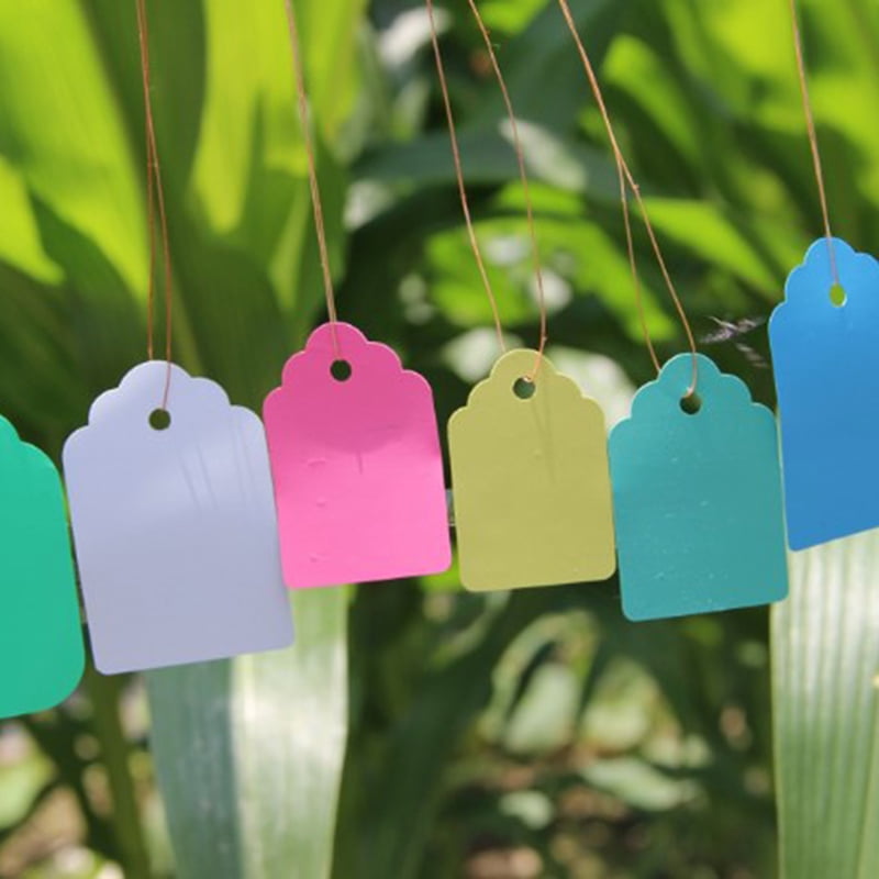 100Pcs Mini Reusable Plastic Plant Labels Pot Marker Nursery Garden Tags Tool 
