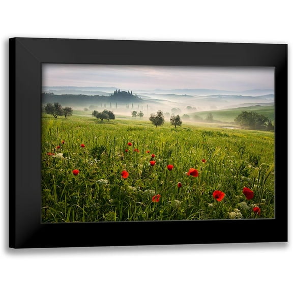 Rericha, Daniel 14x11 Black Modern Framed Museum Art Print Titled - Tuscan Spring