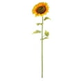 thumbnail image 1 of Vickerman FA187401 Tige de Tournesol Jaune 56 Po., 1 of 2