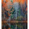 thumbnail image 3 of Leaves Duvet Cover Set, Forest with Tree Reflections over the Lake Rural Forest Scenic Nature Concept, Decorative 2 Piece Bedding Set with 1 Pillow Shams, Twin Size, Brown and Red, by Ambesonne, 3 of 3