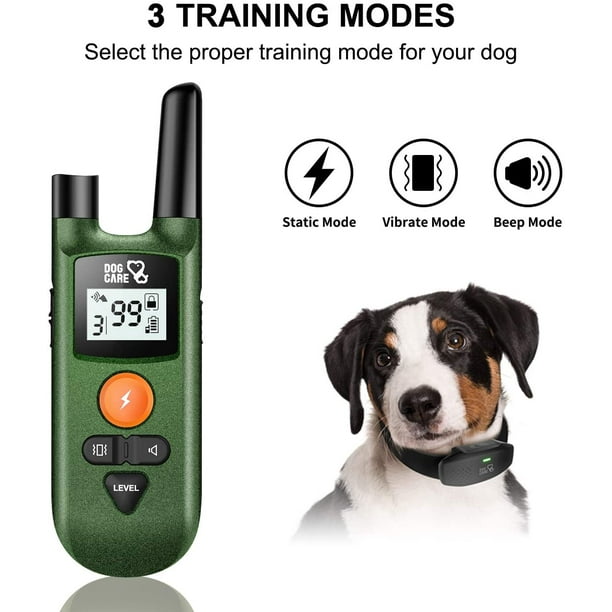 Dog training beep 2025