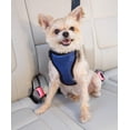 thumbnail image 5 of Arnés de seguridad para perros PetSafe Happy Ride para coches de tamaño pequeño, 5 of 5