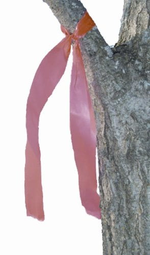 TRAIL MARKING RIBBON - FRENCH