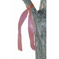 thumbnail image 2 of TRAIL MARKING RIBBON - FRENCH, 2 of 2