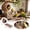 Brown, variant on BVCL Natural Wooden Cat Wand Teaser For Interactive Play And Exercise – Cat By Natural For And