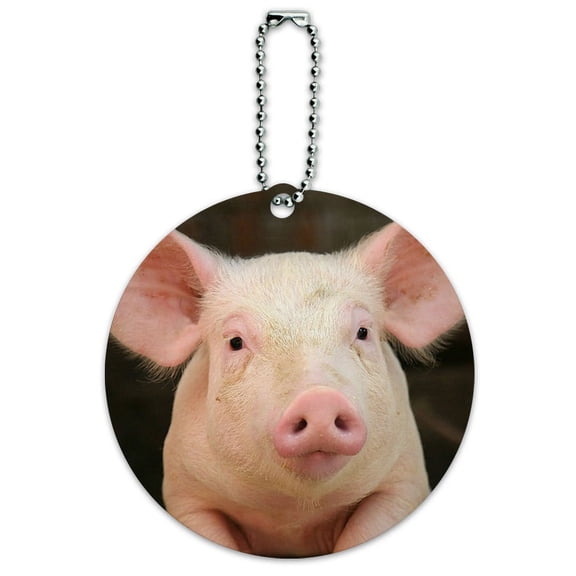 Graphics and More Little Pig Piggy Round ID Card Luggage Tag