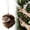 Brown/1Pc, variant on Aoyunhp 1Pc Forest Animal Series Christmas Ornaments,Cute Animal Christmas Ornaments,2D Flat Acrylic Hanging Pendant Creature Raccoon Hedgehog Decor,Christmas Tree Decorations for Home Holiday