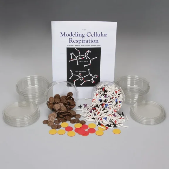 Modeling Cellular Respiration Kit