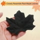 thumbnail image 2 of Paquete de 100 hojas de arce artificiales, hojas falsas de otoño para Acción de Gracias/Boda/Fiestas [8 cm, Negro], 2 of 7