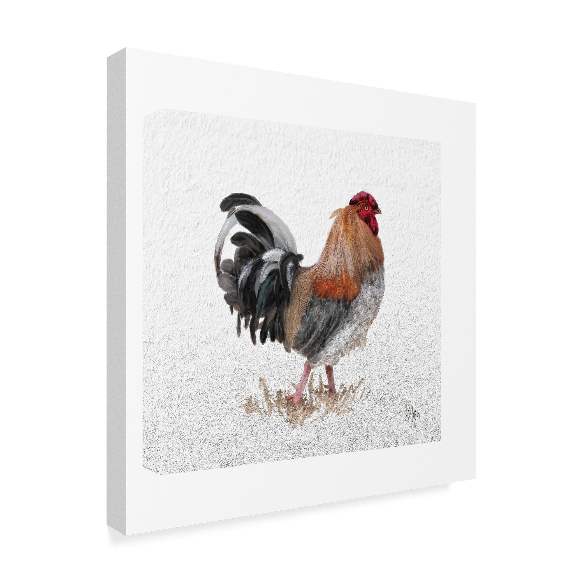 Trademark Fine Art 'Barnyard Boss' Canvas Art by Lois Bryan