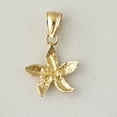 thumbnail image 3 of 14K Yellow Gold Starfish Pendant, 3 of 4