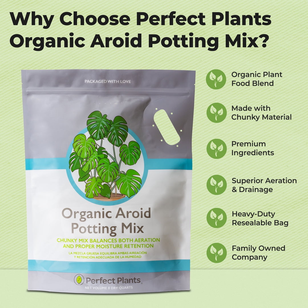 Organic Aroid Potting Mix in 8qt. Bag - Chunky Soil For Indoor House Plants