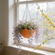 thumbnail image 4 of CaiYueKe Self Watering Hanging Planter with Drainage Holes and Chain, Plastic Plant Pots for Indoor Outdoor Garden, Flower Pot Container for Succulents Herbs, 4 of 7