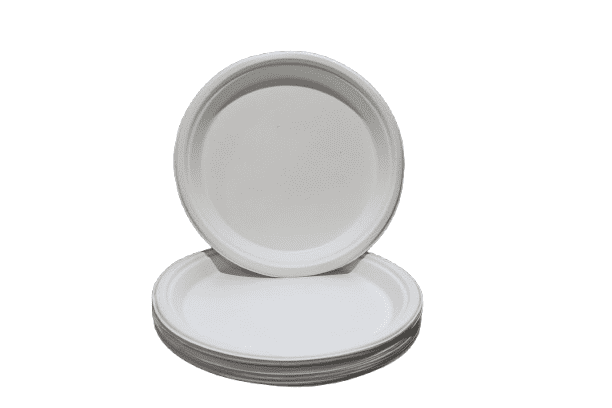 12" Round Plate, Compostable, Sugarcane Bagasse, Heavy Duty Disposable Plates for Party, BBQ, Picnic, Catering Pack of 100