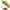 Green, variant on Yaiewey Cherry Pitter, Stainless Steel Cherry Pitter Tool, Pit Remover For Cherries (Black)
