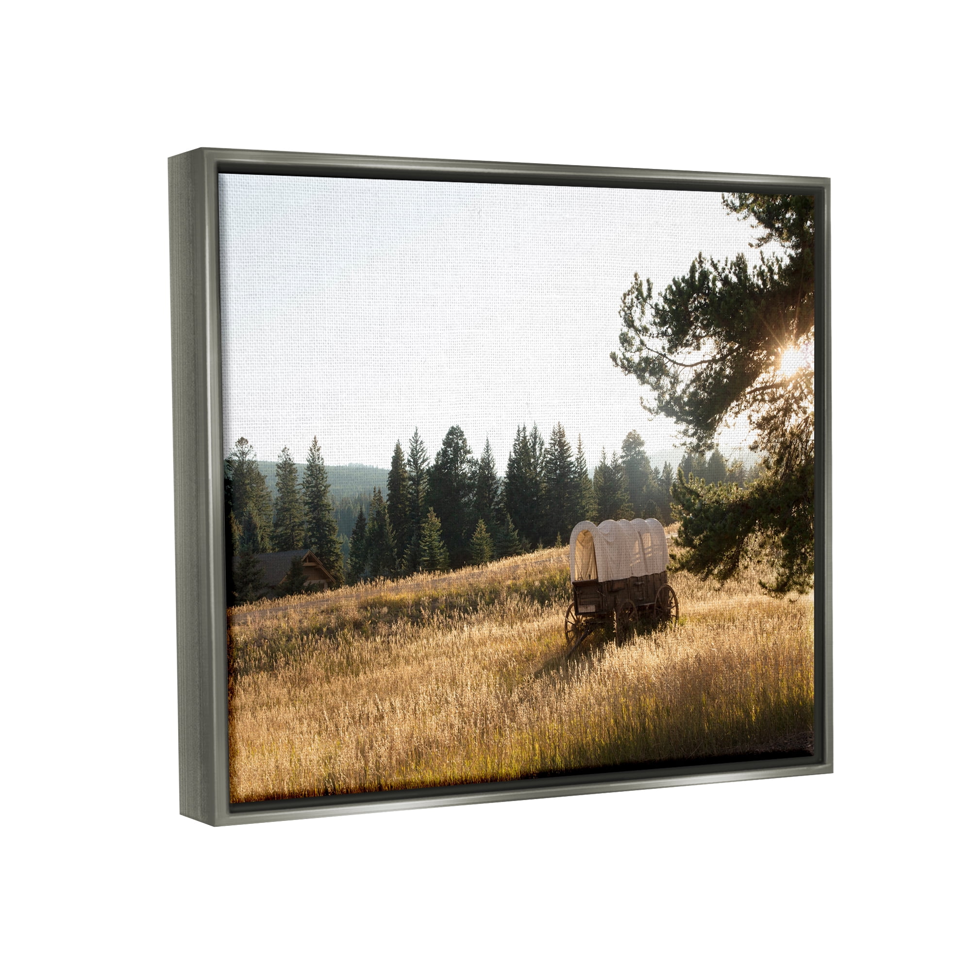Stupell Times Past Rural Country Carriage Landscape Photography Gray Floater Framed Art Print Wall Art