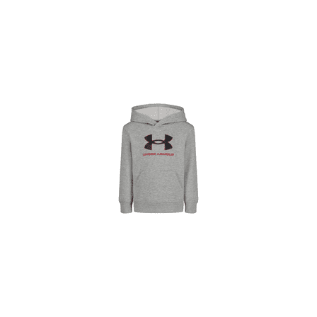 Boys' Hoodie, Fleece Pullover, Logo & Printed Designs, Mod Gray