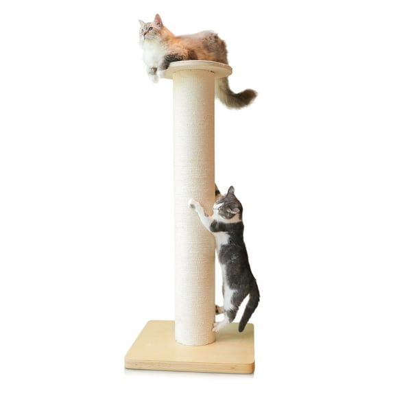 50" Tall Cat Scratching Post, Extra-Large Cat Scratch Post for Biggest Cats (Maine Coon), 7.3” Thick Post, 36lbs Weight, Solid Wood Base & Natural Sisal Rope