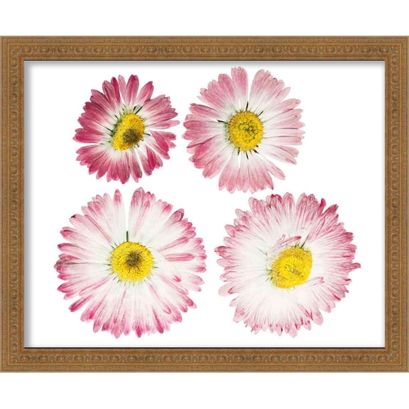 21x15 Gold Shadowbox Frame - Shadow Box Frame Interior Size 21x15 by 1 Inch Deep - Gold Frame Is Made to Display Items Up To 1 Inch Deep! Includes Shatter Resistant Acrylic Front, Backing, Hardware
