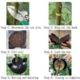 thumbnail image 4 of 20Pcs Reusable High Pressure  Ball Plant Rooting Growing Box for Plants Garden Tool Planting S, 4 of 8