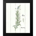 thumbnail image 2 of Schlabach, Sue 12x14 Black Modern Framed Museum Art Print Titled - Cottage Herbs I, 2 of 5