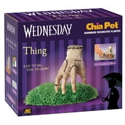 Thing Chia Pet Handmade Decorative Planter by JEI