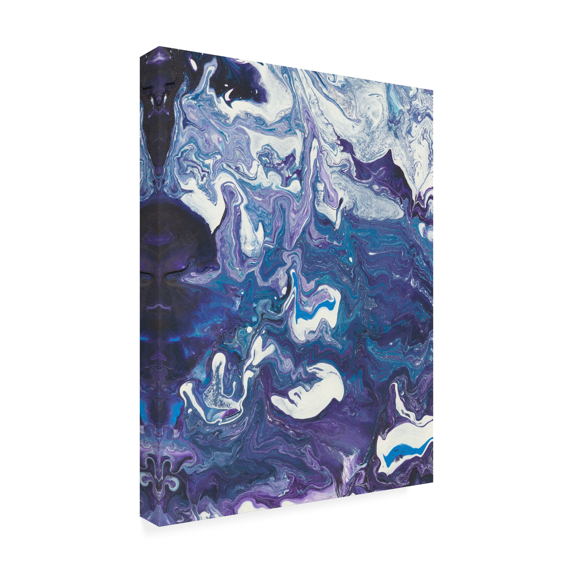 Trademark Fine Art 'Meandering Mulberry I' Canvas Art by Regina Moore