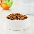 thumbnail image 2 of Special Kitty Gourmet Formula Seafood Blend Flavor Dry Cat Food, 35 lb Bag, 2 of 10