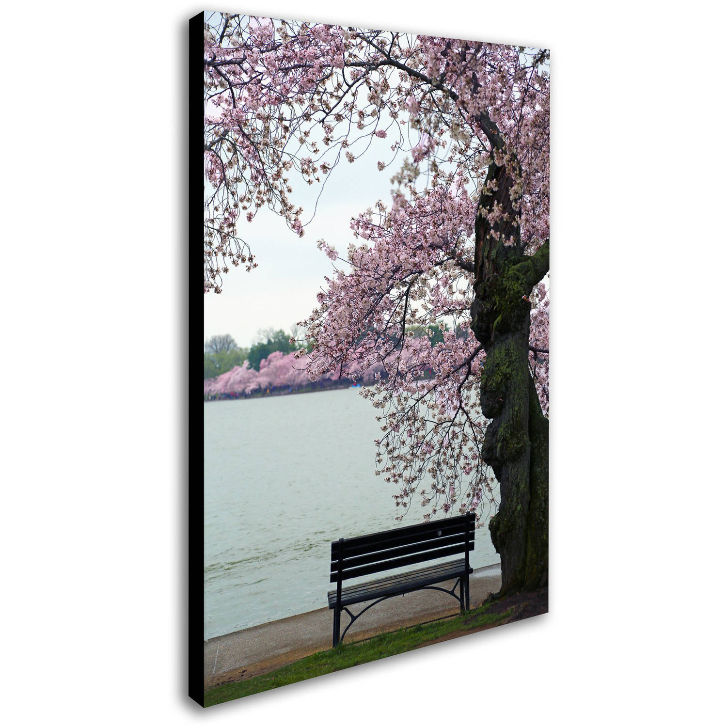 Trademark Fine Art "Tranquility" Canvas Art by CATeyes
