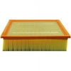 Hastings Filters - Air Element Af1333
