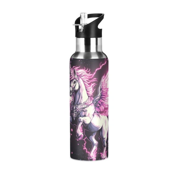 ALAZA Ethnic Unicorn Water Bottle Insulated Flask Stainless Steel Straw Lid 20 oz