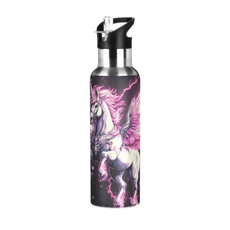 

ALAZA Ethnic Unicorn Water Bottle Insulated Flask Stainless Steel Straw Lid 20 oz
