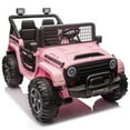 24 Volt Ride on Toys w/ Remote Control, 2 Seater Electric Truck Car for Big Kids, 2WD/4WD