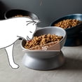 thumbnail image 4 of Cuencos de cerámica para gatos,Tazón de comida para gatos elevado inclinado,Platos de alimentación para mascotas de porcelana,Protege la columna vertebral de la mascota, 4 of 5