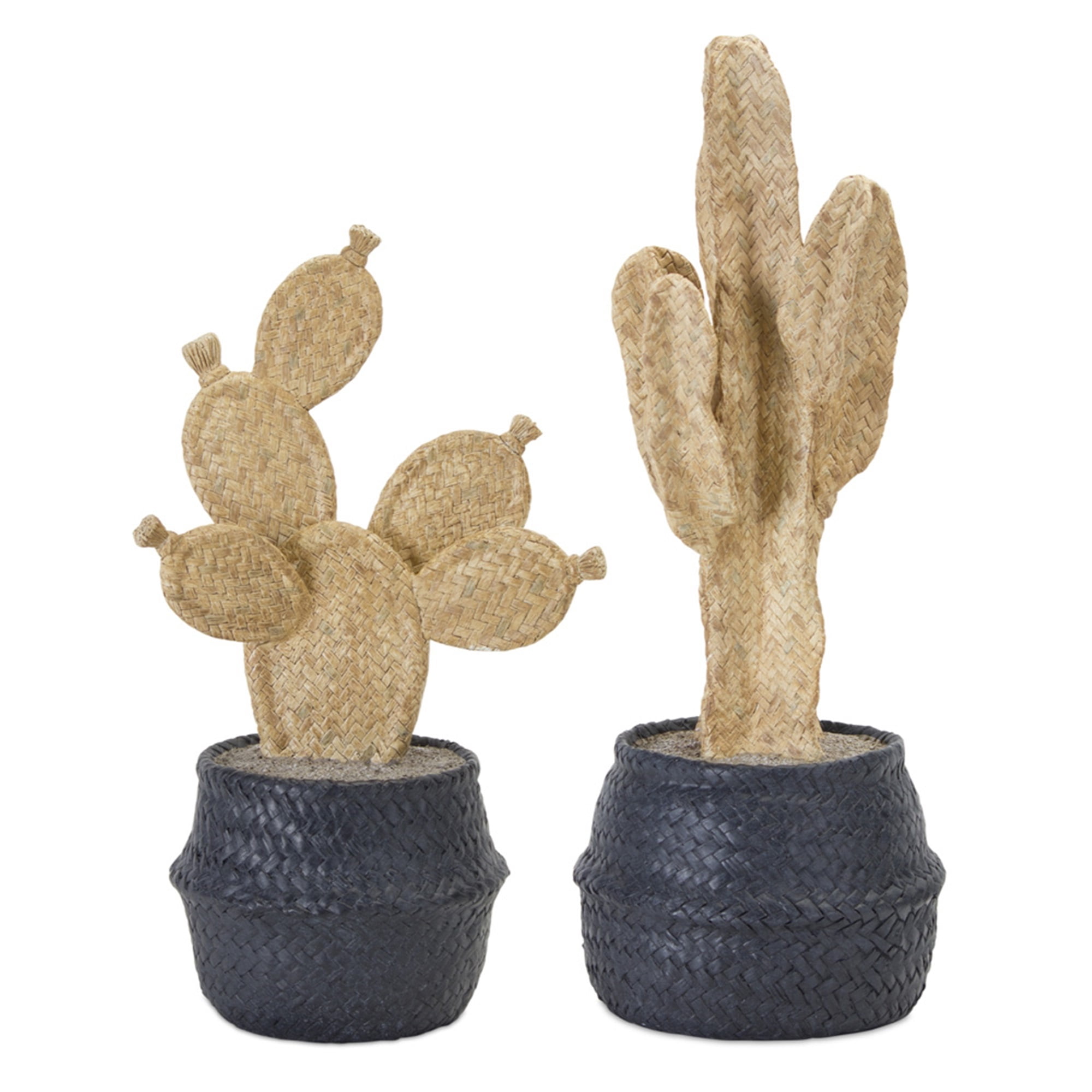 Cactus Pots (Set of 2) 13"H, 16"H Resin
