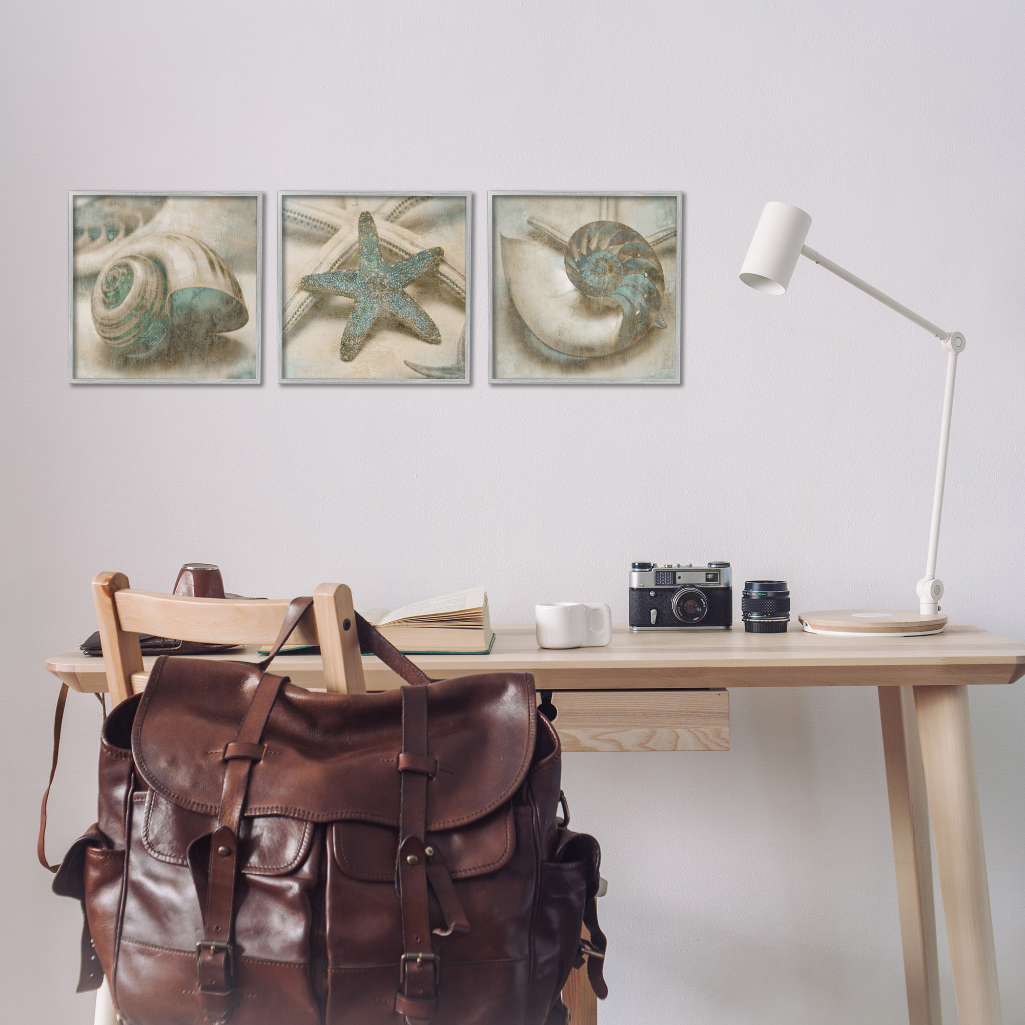Stupell Industries Starfish & Sea Shells Distressed Nature Painting Gray Framed Art Print Wall Art, 12 x 12, Set of 3