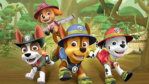 Paw Patrol - Walmart.com