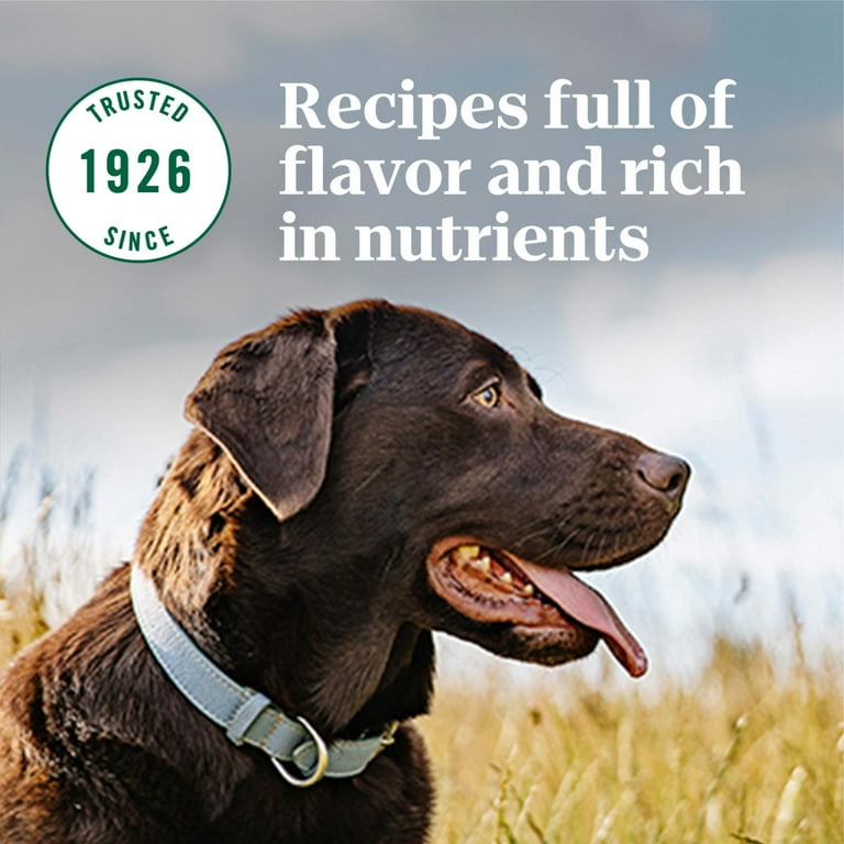Nutro max beef dog food online