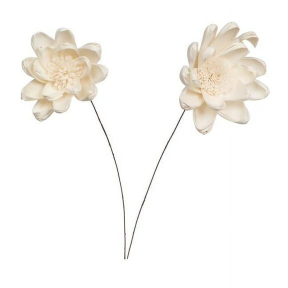 Vickerman 686409 - 4" Crocus Sola Flower on 12" stem 12/bg (H7SFS060) Dried and Preserved Flowers