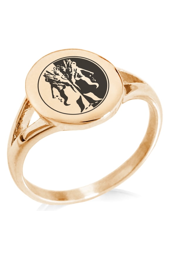 Stainless Steel Janus Greek God of Beginnings Minimalist Oval Top Polished Statement Signet Ring
