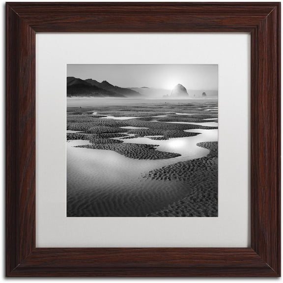 Trademark Fine Art "Path" Canvas Art by Moises Levy White Matte, Wood Frame