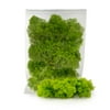 ⭐ Premium Preserved Reindeer Moss for Potted Plants, Terrariums, Fairy Gardens, Arts and Crafts or Floral Decor Design in SPRING GREEN (5 Quart Bag)