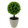 thumbnail image 1 of Mainstays 9.5" Indoor Artificial Plant in Pot, Green Color Boxwood., 1 of 5