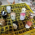 thumbnail image 3 of [Home Decor]Animal Wind Chimes Boho Style Handmade Fox Bear Red Panda Marmot, 3 of 6