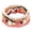 Watermelon Red, variant on SUSHANG Boho Bracelet Colorful Beaded Bracelet Set Sweet Gift Bracelet Is The for Friends Sisters and Girls Let Bracelet Witness Your
