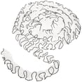 thumbnail image 1 of DIY Sewing Lace Trim Clothing Decorative Trim Crafts Making Lace Ribbon, 1 of 9